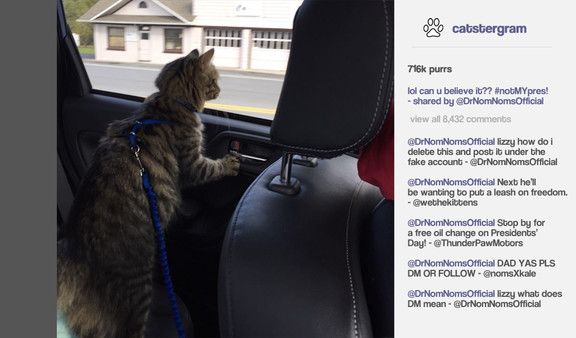 Скриншот из Cat President ~A More Purrfect Union~