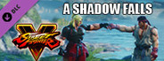 STREET FIGHTER V General Story "A Shadow Falls"