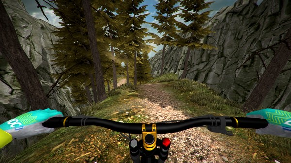 MTB Downhill Simulator