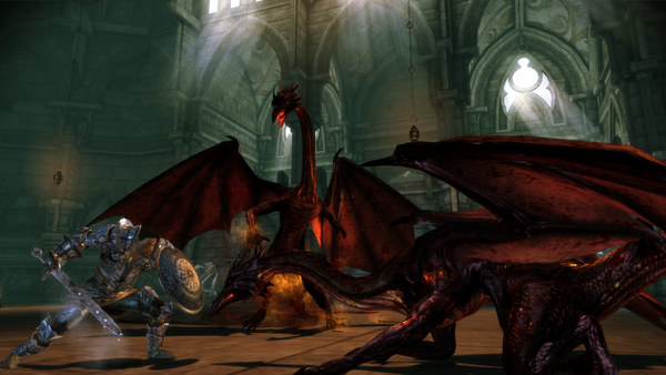 Dragon Age™: Origins Awakening for linux