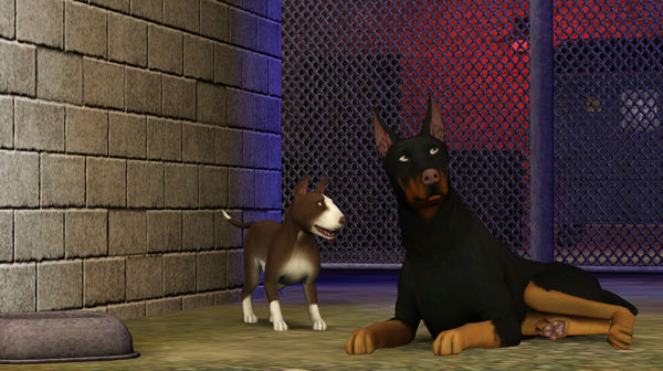 Скриншот из The Sims(TM) 3 Pets