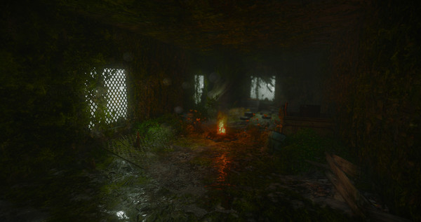 Investigatorfor windows and Linux 1