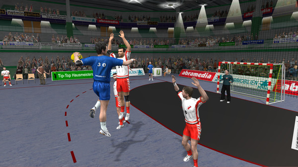 Скриншот из Handball Action Total