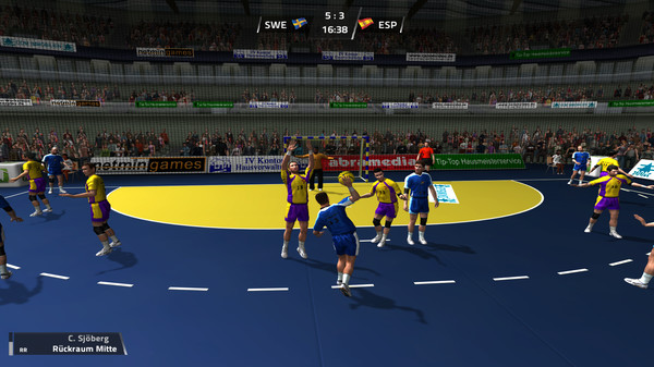 Handball Action Total PC requirements