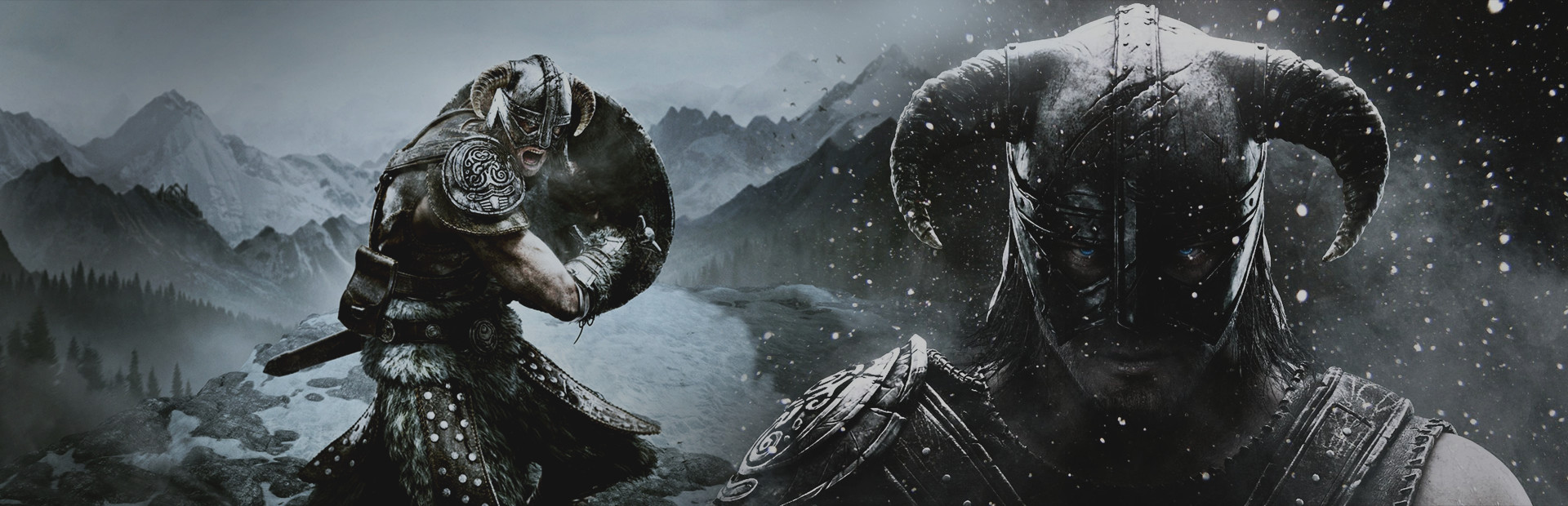 The Elder Scrolls V: Skyrim Special Edition Hero Image