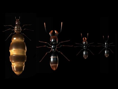 Скриншот из Ant Queen