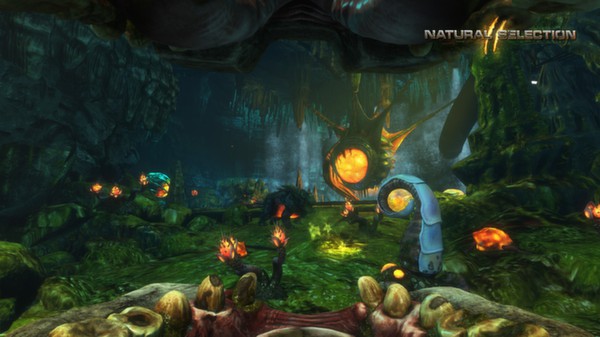 Скриншот из Natural Selection 2 - Deluxe DLC