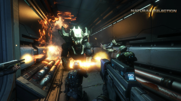 Natural Selection 2 for linux