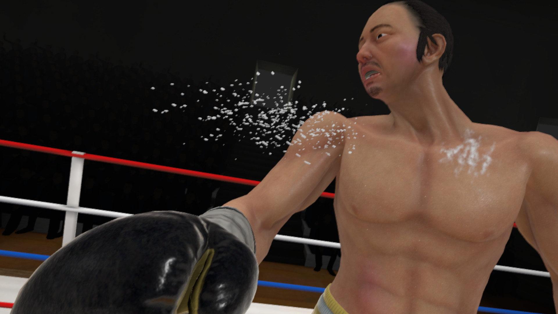 steam thrill of the fight
