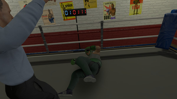 The Thrill of the Fight - VR Boxing game for Linux 1