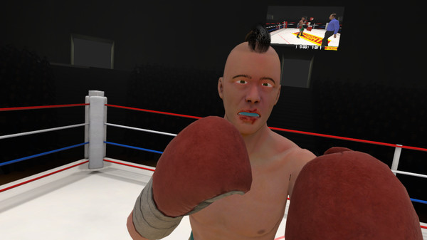 The Thrill of the Fight - VR Boxing minimum requirements