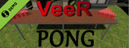 VeeR Pong Demo