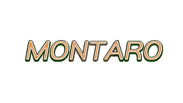 Montaro - Steam Backlog