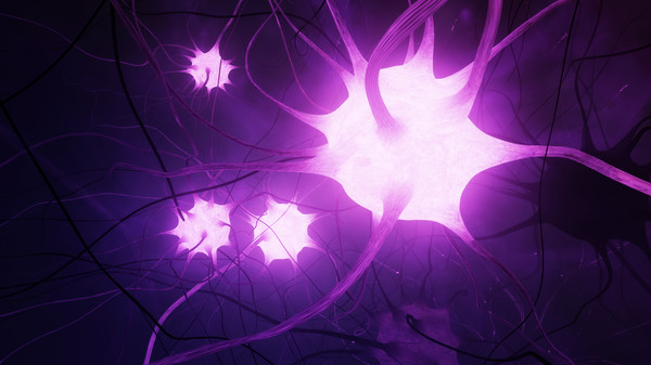 Скриншот из GE Neuro