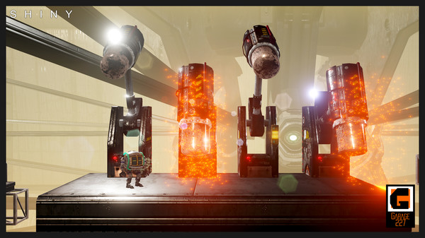 Shinyfor windows and Linux 1