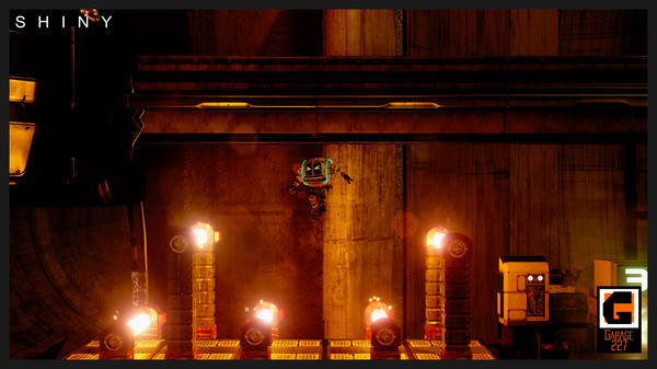 Скриншот из Shiny Скриншот из Shiny