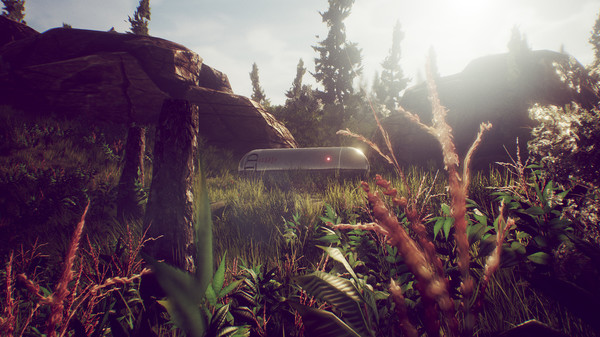 The Challengefor windows and Linux 1