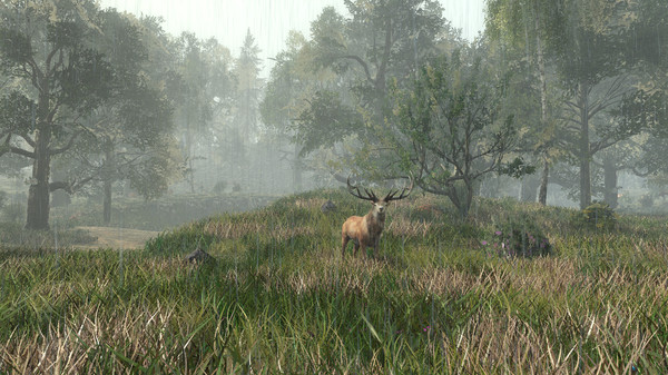 Скриншот из Life is Feudal: Forest Village