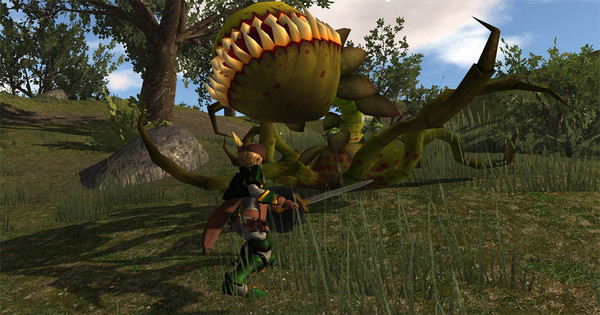 Locus Solusfor windows and Linux 1