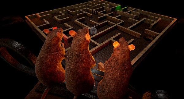 Скриншот из Maze Roller