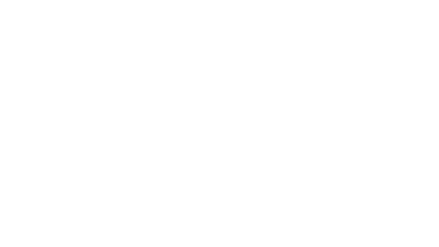 Wildcard Logo