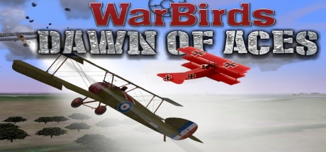 WarBirds Dawn of Aces, World War I Air Combat