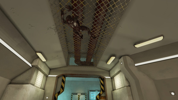 SurvHivefor windows and Linux 1