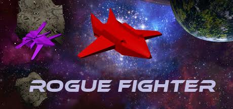 Rogue Fighter cover art