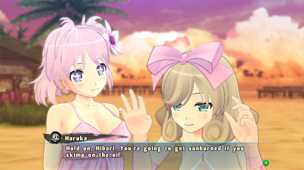 SENRAN KAGURA ESTIVAL VERSUS image