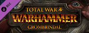 Total War: WARHAMMER - Grombrindal The White Dwarf