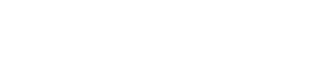 PUNT Logo