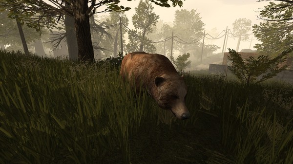 Скриншот из PostCollapse Скриншот из PostCollapse