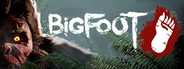 BIGFOOT System Requirements