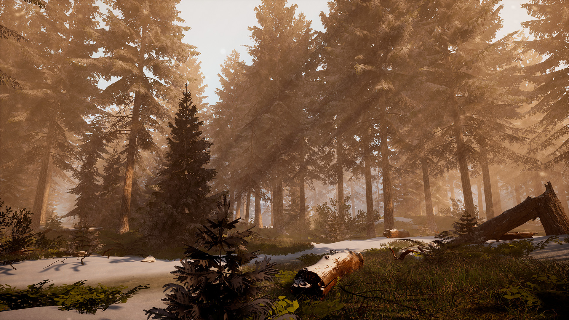 BIGFOOT on Steam