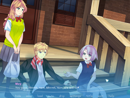 Скриншот из Driftwood The Visual Novel