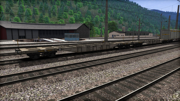 Скриншот из TS Marketplace: ÖBB Sgns Container Wagon Pack