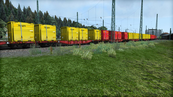 Скриншот из TS Marketplace: DB Sgns Container Wagon Pack