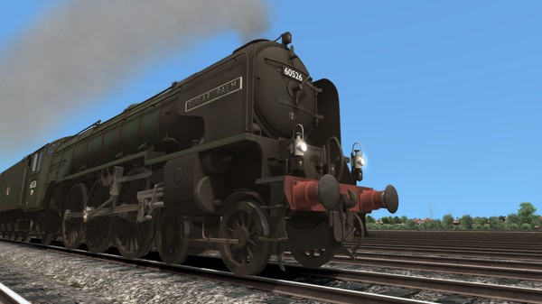 Скриншот из TS Marketplace: British Railways Class A2 Livery Pack Add-On