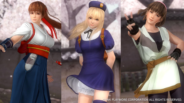 Скриншот из DOA5LR KOF Mashup Costume Set