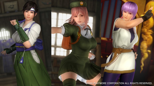 Скриншот из DOA5LR KOF Mashup Costume Set