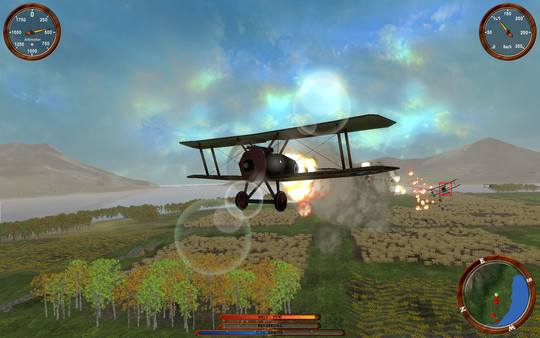 Flying Baron 1916 requirements