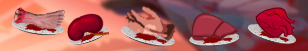 3.jpg?t=1482167915