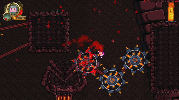 Bad Padfor windows and Linux 1