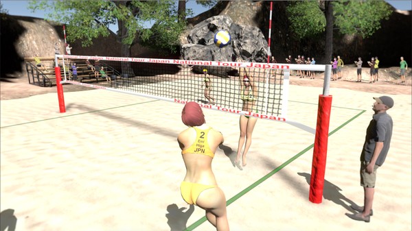 Volleyball Unbound - Pro Beach Volleyball requirements