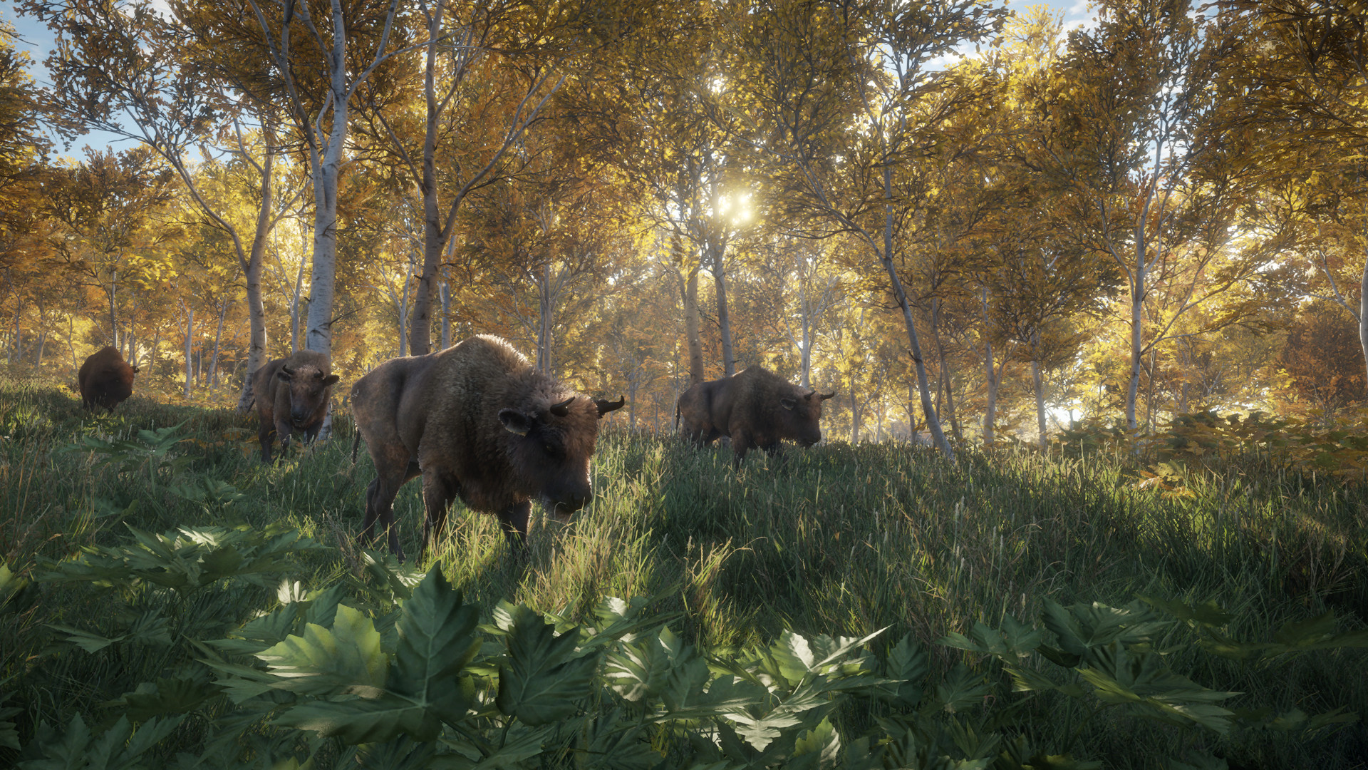 animals in dlc map the hunter call of the wild