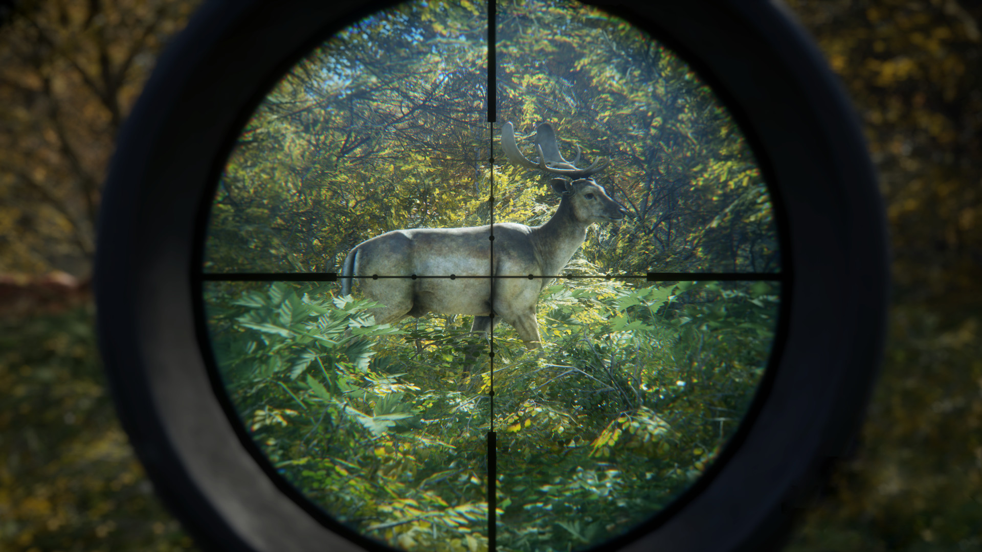 The Hunter: Call of the Wild Review – Patience Is A Virtue