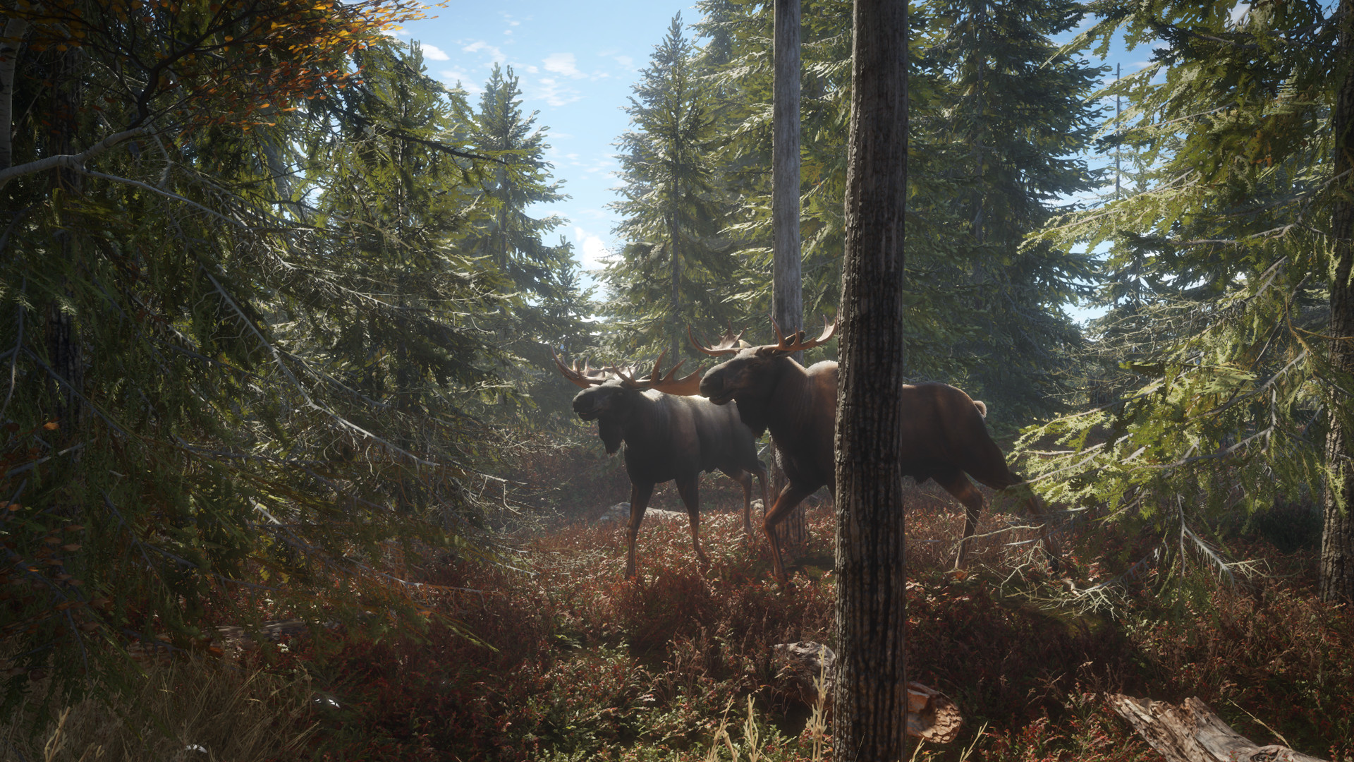 theHunter: Call of the Wild™ Images 