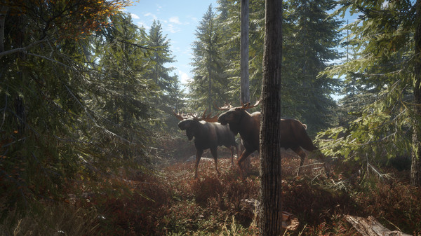 Скриншот из theHunter: Call of the Wild™