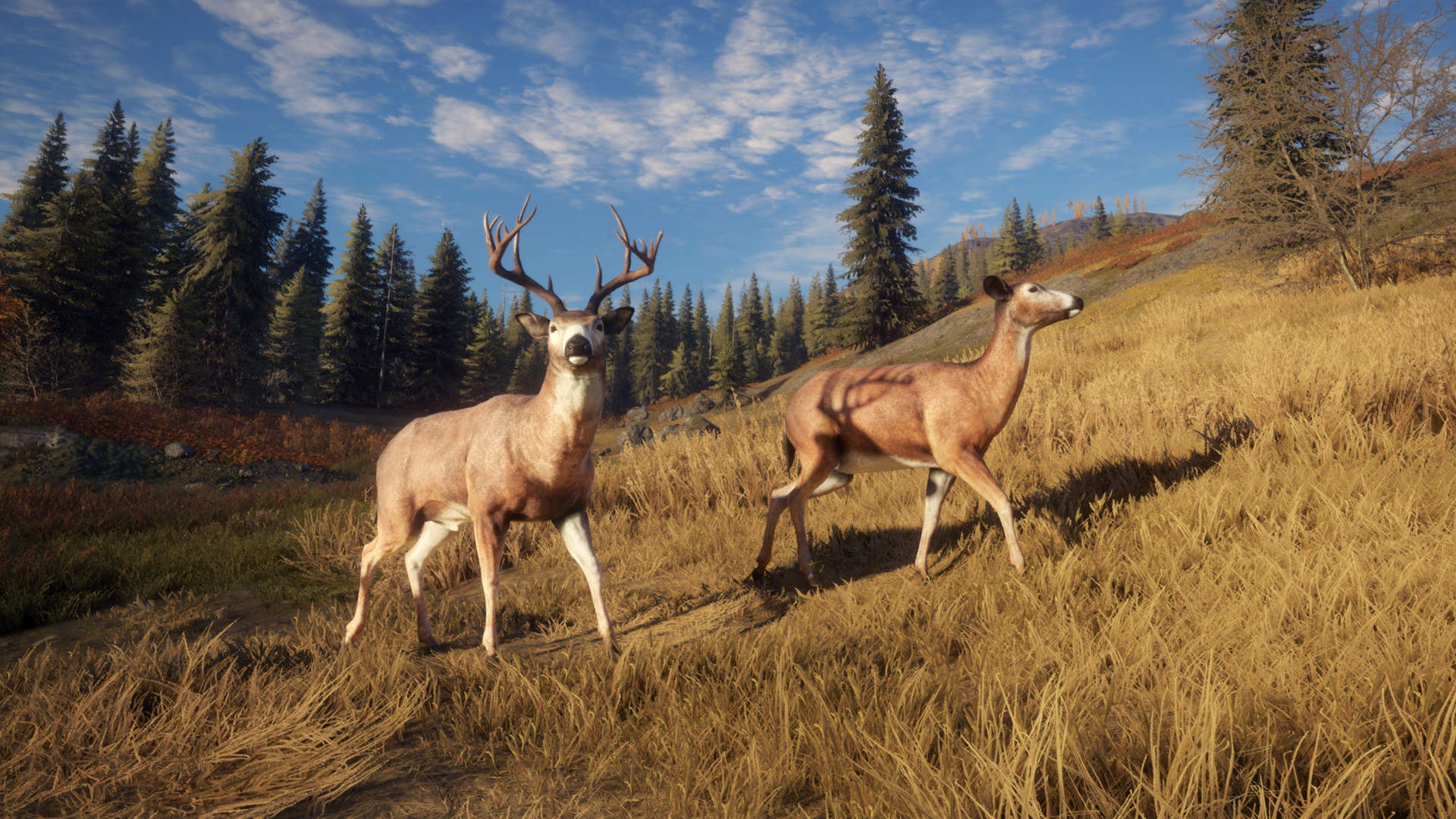 TheHunter: Call Of The Wild™ On Steam