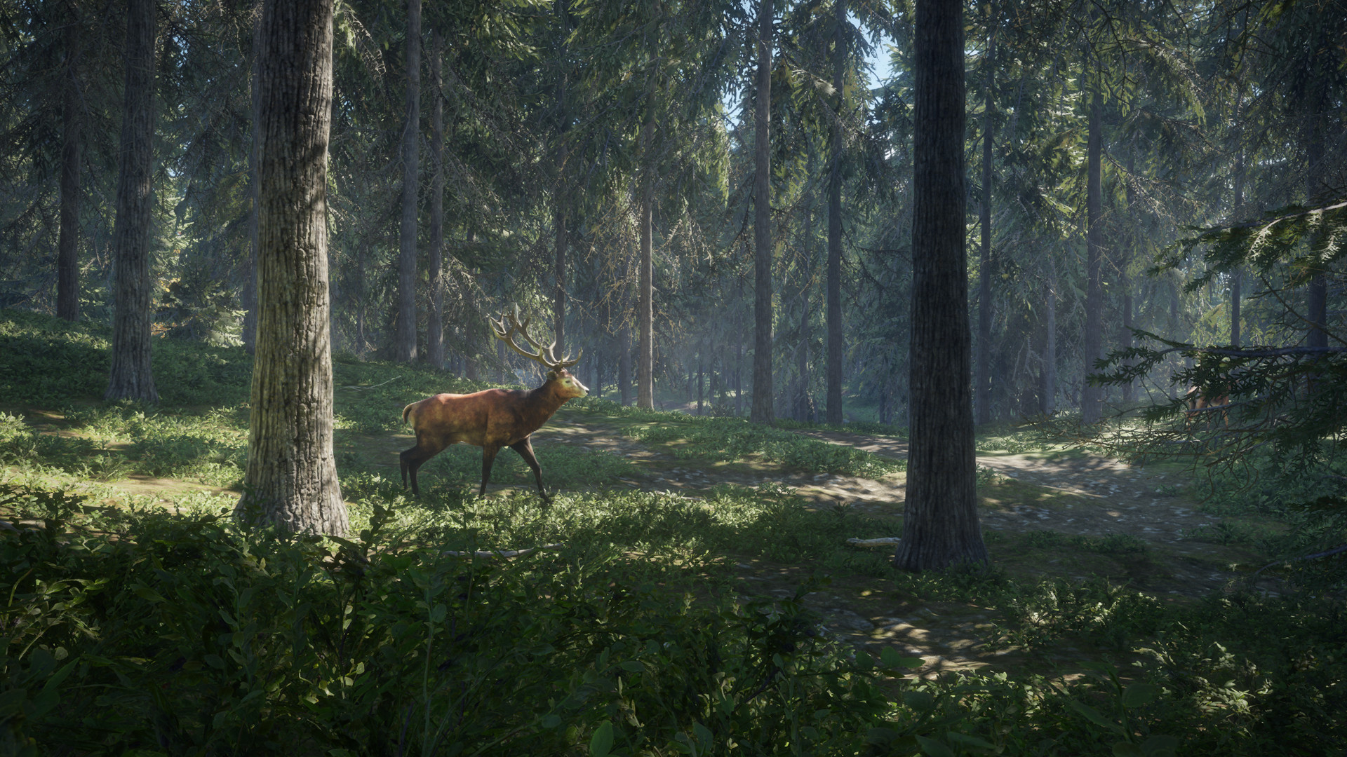 The hunter call of the wild не запускается windows 10